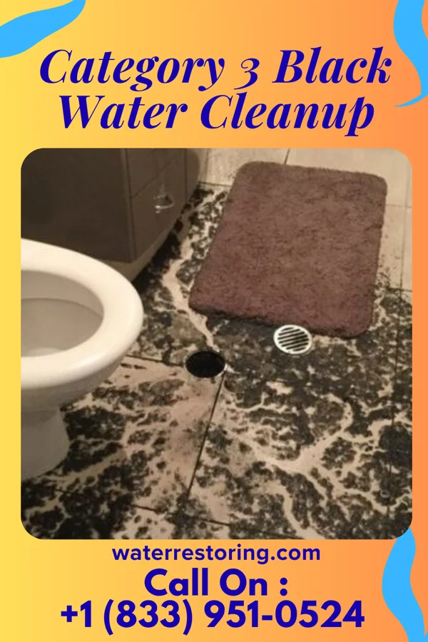 Category 3 Black Water Cleanup in Jacksonville, GA